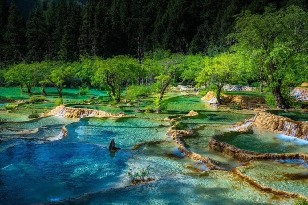 10,实用信息 出行方式计划全面玩转呼伦贝尔,建议选择自驾包车等出行