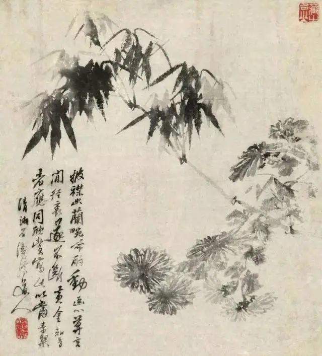 石涛 蕉菊竹石图