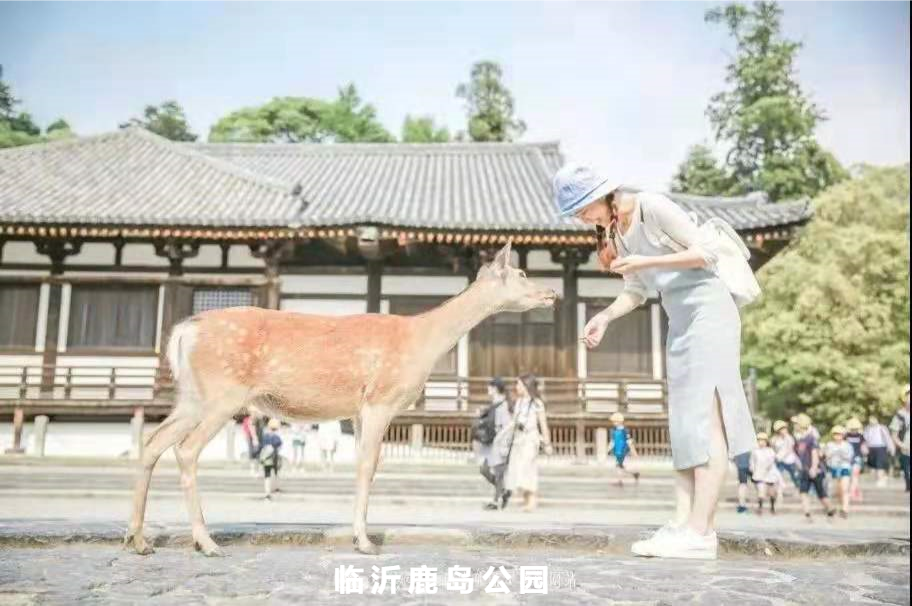 21临沂首个鹿岛公园6月5日开园 门票免费送送送 腾讯新闻