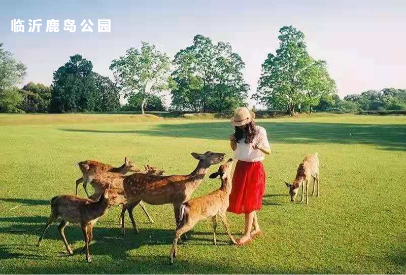 21临沂首个鹿岛公园6月5日开园 门票免费送送送 腾讯新闻