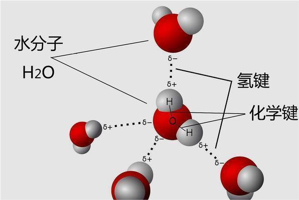 从水的分子结构来看,无论是固,液,气何种相态,氢原子和氧原子之间都