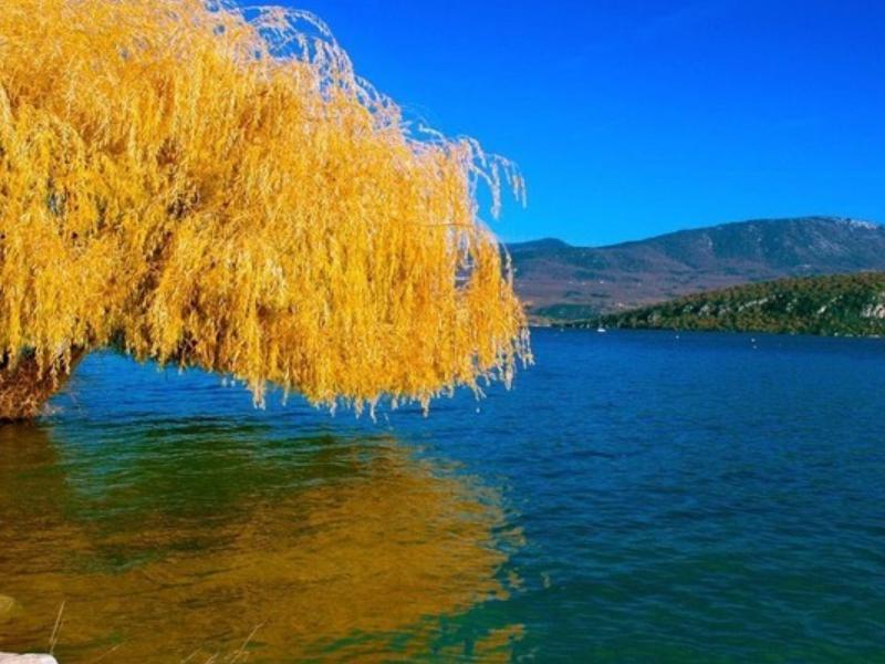 双喜临门的三大生肖,多有收获,财路顺畅,大难已过!