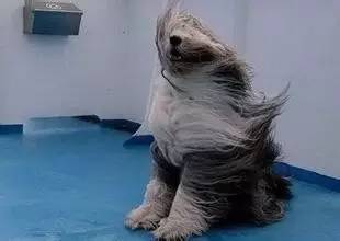 提醒8级大风雨