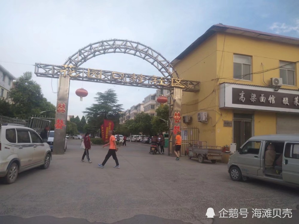 郑州花园口村一个很有特色的沿黄村庄