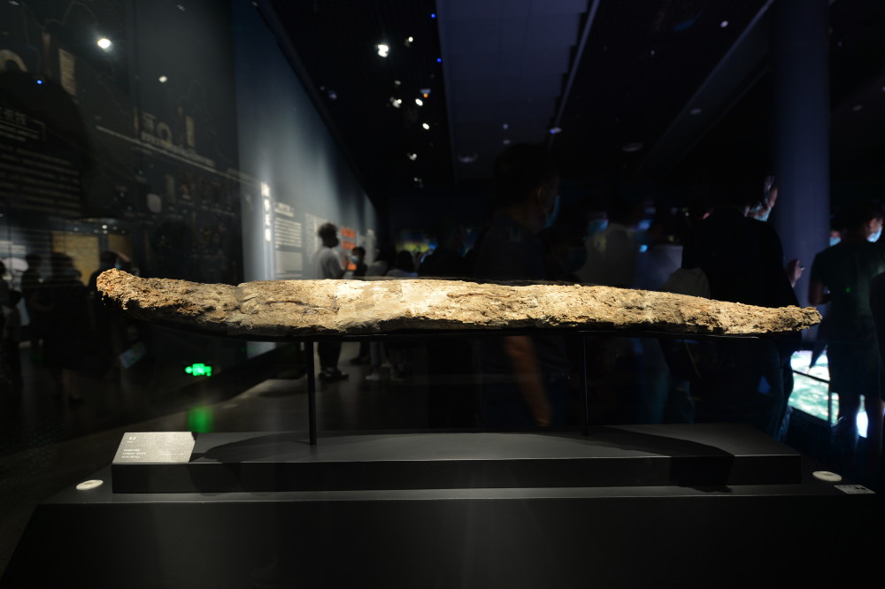 新华全媒象牙三星堆祭祀坑的第一层秘密