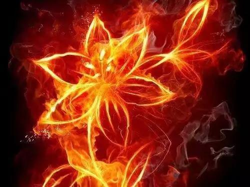 斗破苍穹为什么焚炎老祖不打异火的主意我觉得有五个原因