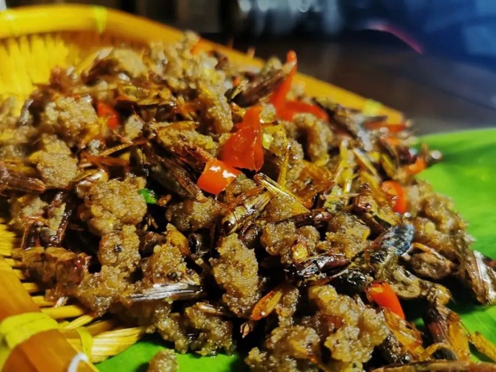 哈尼族人的味精——哈尼豆豉,好吃得很!_腾讯新闻