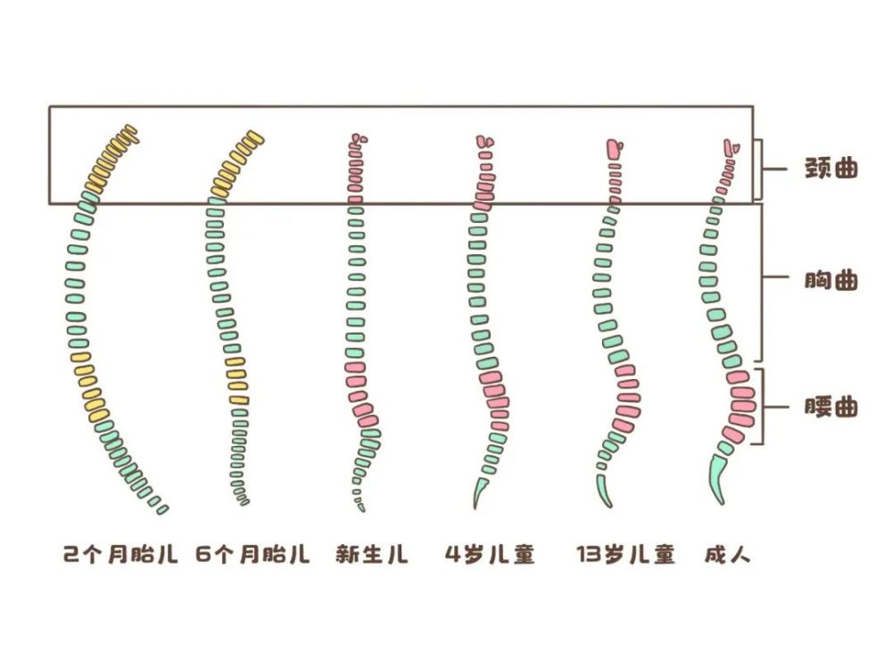 枕头选不对孩子伤颈椎还不会买枕头的妈妈看这篇