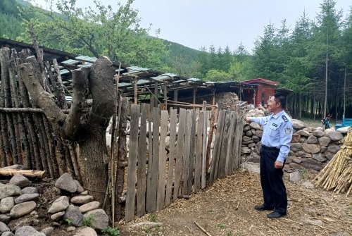 民警得知辛某于5月24日晚收完羊后,将羊圈门用铁丝紧紧拴住,便返回10
