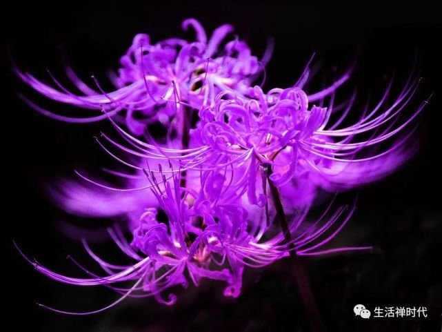 腾讯内容开放平台