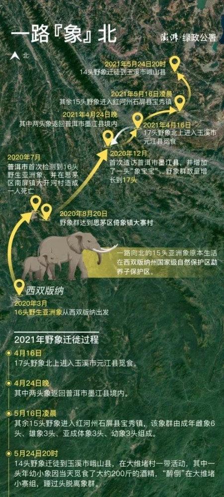 西双版纳大象迁徙路线图片