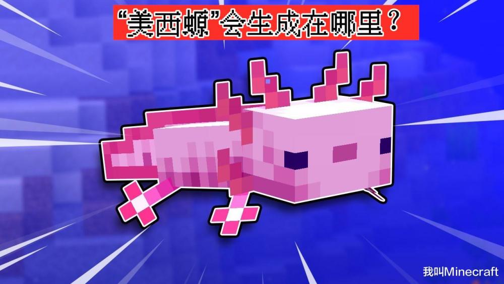 minecraft117新生物篇蝾螈山羊发光鱿鱼在哪里有什么用