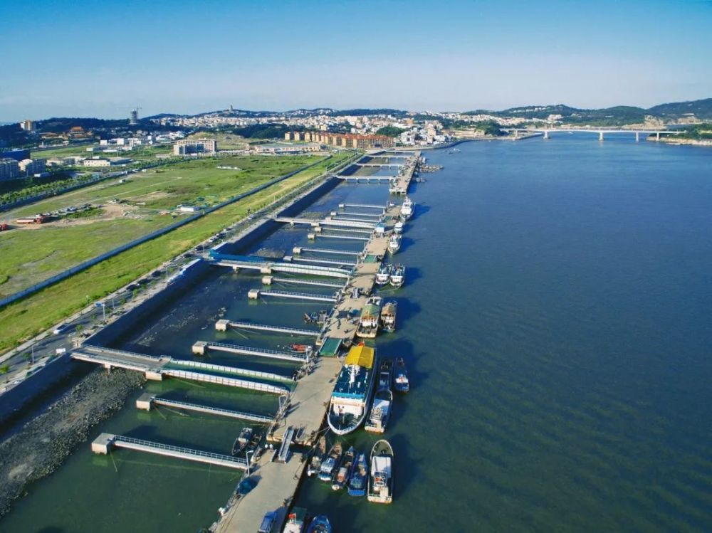 温州海味飘香全国两大国字号荣誉抱回家