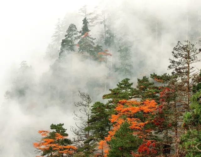 這樣一個雲霧繚繞