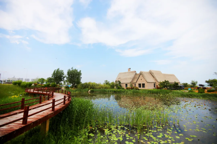 荣成市百合湾景区宛如一幅宁静的画卷.