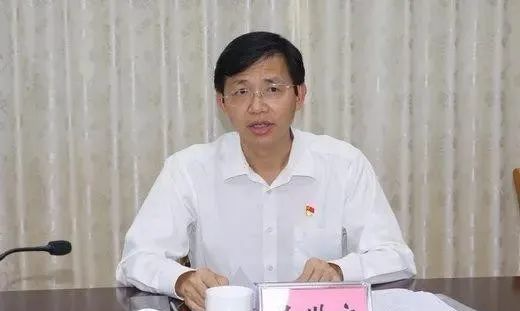 市人民政府副市长职务,决定任命朱海龙,王小慧为茂名市人民政府副市长