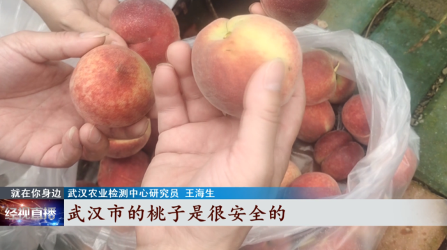 很多人爱吃……|武汉|新洲区|李集街|桃子