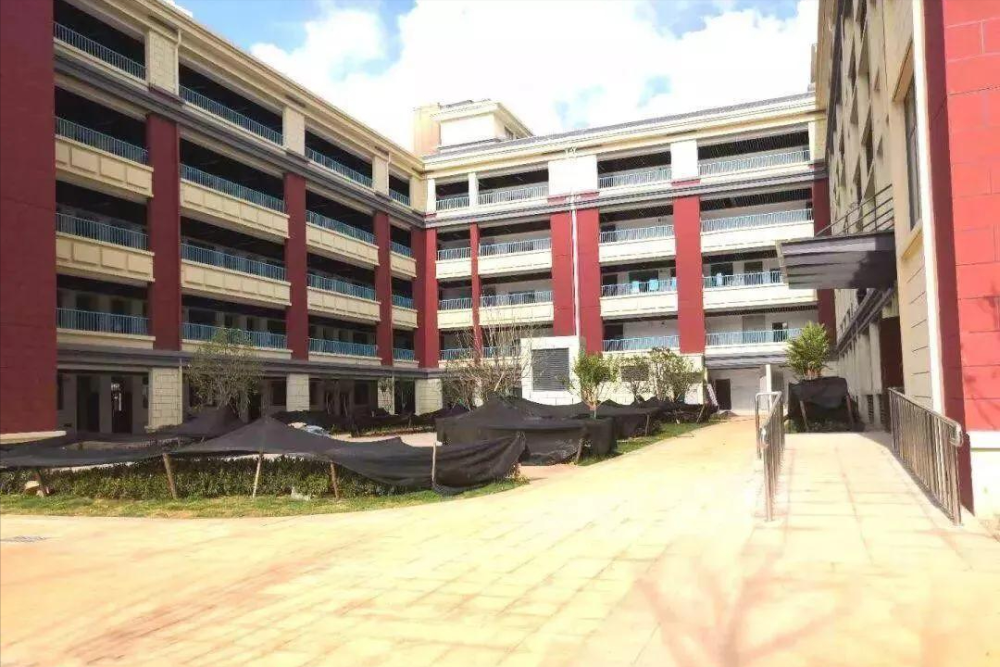 武汉光谷汤逊湖学校生源快速大量增长的背后原因深入解析