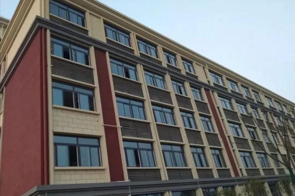 武汉光谷汤逊湖学校生源快速大量增长的背后原因深入解析