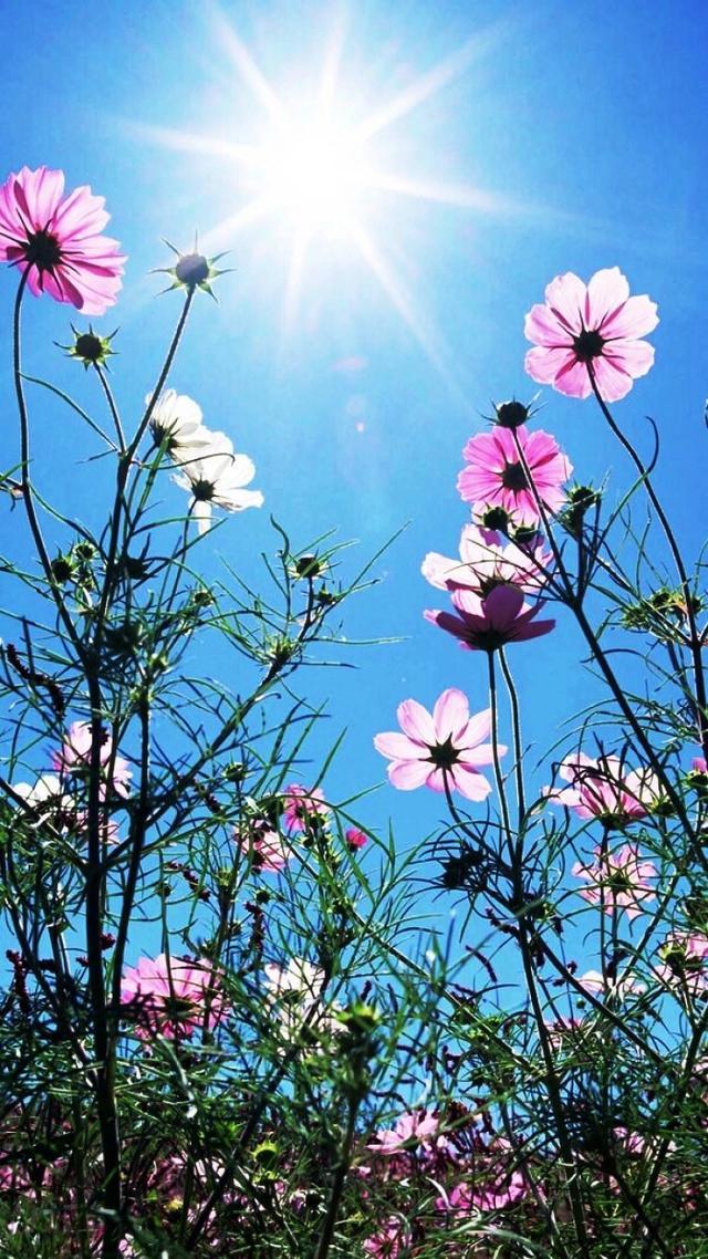 和有趣的人在一起,和有正能量的人在一起,这样你就会慢慢活成一束阳光