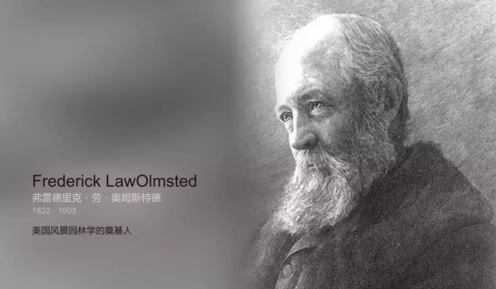 人物美国景观设计之父奥姆斯特德