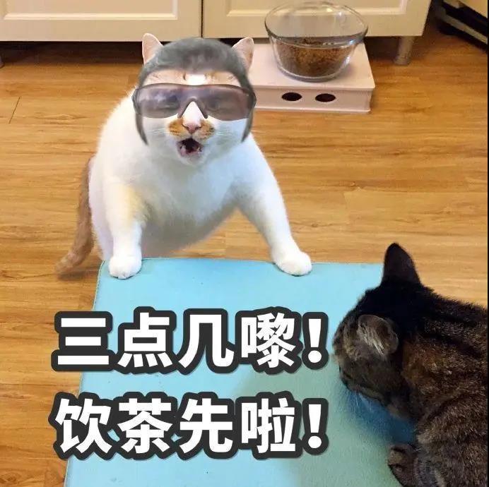 动图表情包丨饮茶哥:三点几嚟,饮茶先啦!_腾讯新闻