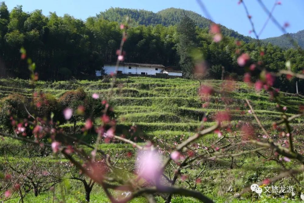 庙下乡凉丰村庙下乡八角殿村横山镇八石坂村横山镇后徐村横山镇下宅村