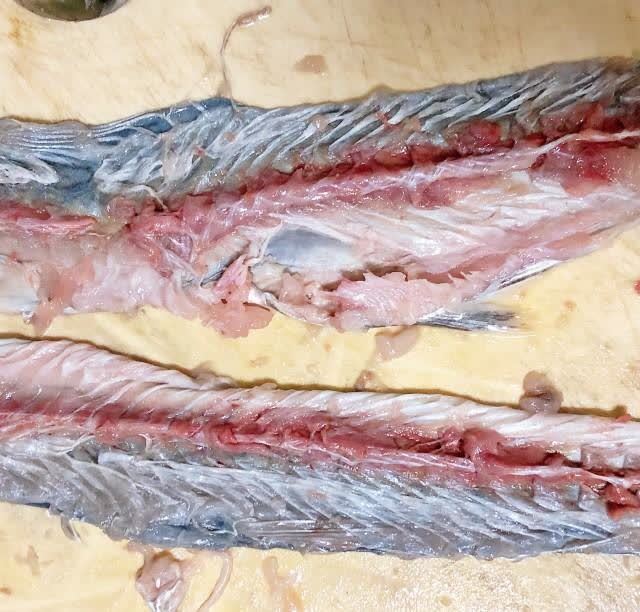 鲅鱼水饺,味道鲜美,皮薄馅儿大