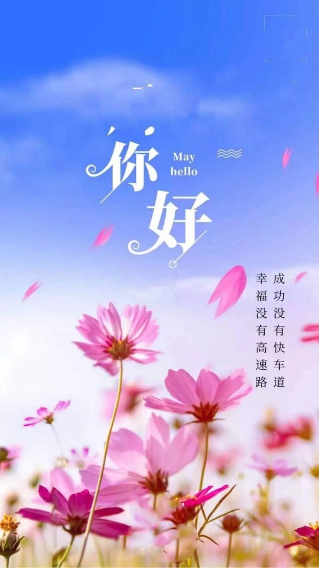 很暖心的早上好問候語祝福短信漂亮的早安鮮花圖片帶字