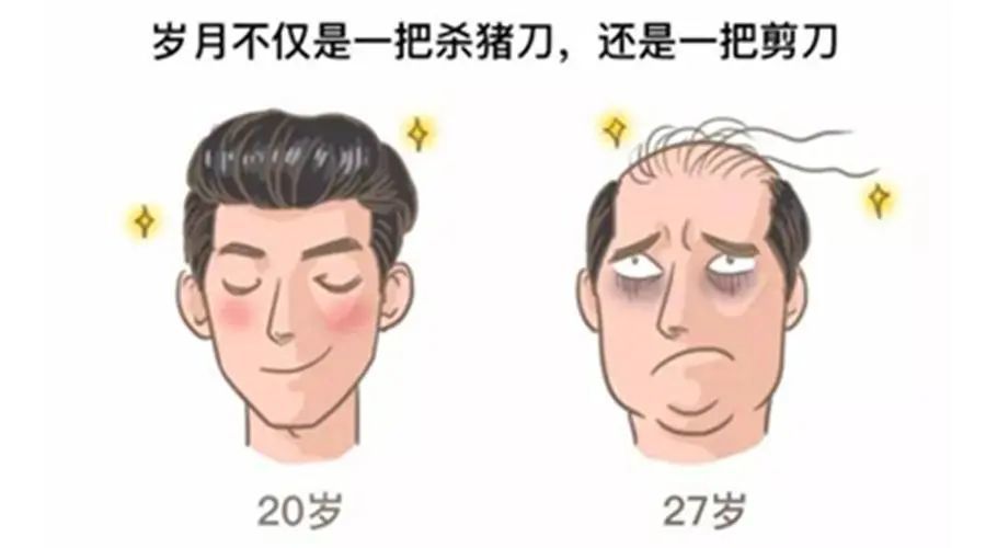 别人脱单你脱发这届年轻人到底该怎么办