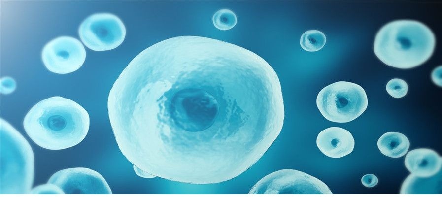 乌克兰干细胞美容抗衰老(乌克兰细胞抗衰老是否有用)