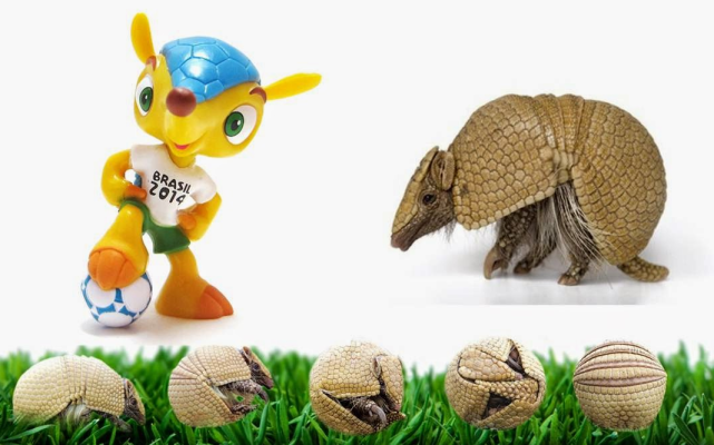 能捏在手心里的粉嫩倭犰狳好像只皮皮虾啊被人捉到活不过8天