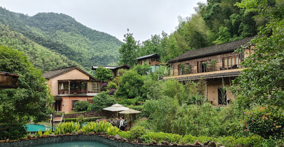 难以想象的山中逸景·杭州青龙坞"静庐"