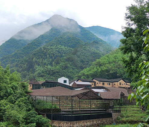 搬进大山的书屋杭州青龙坞言几又胶囊旅社