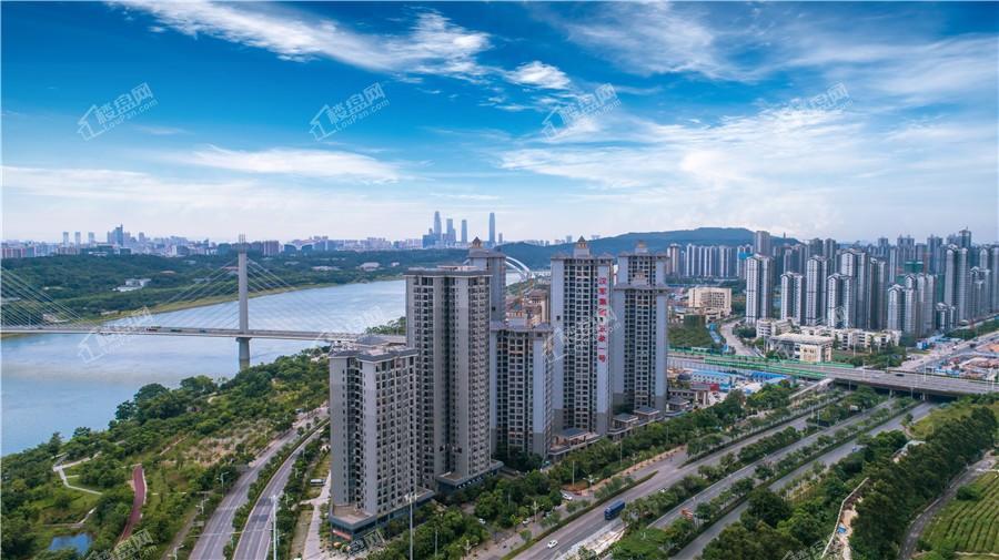 在南宁,一直有着"青秀现在,五象未来"的说法,而作为五象新区第一个