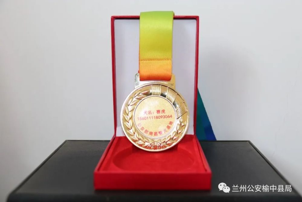 厉害了赛虎它被授予功勋犬称号