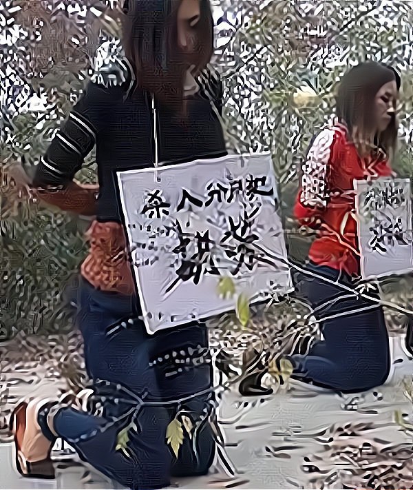 胡芳伏法刘军的家人多次联系不上他,便向警方报警,警方搜寻过程中发现