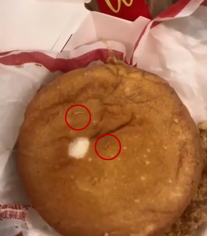 汉堡里吃出大量活虫麦当劳回应
