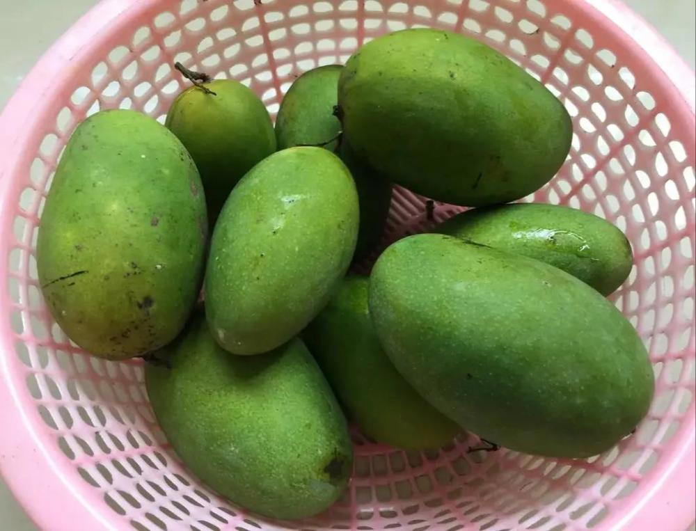 传说中雷州覃斗鸡蛋芒十几元一斤到底值不值