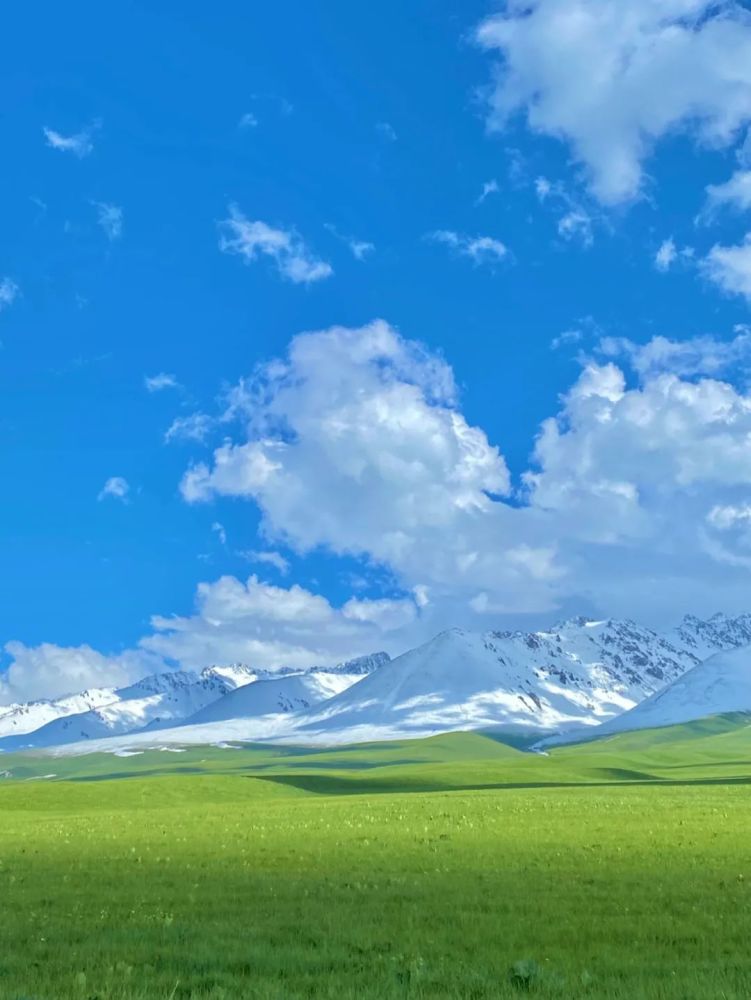 "宅在大理"旅行篇·天空草原_腾讯新闻