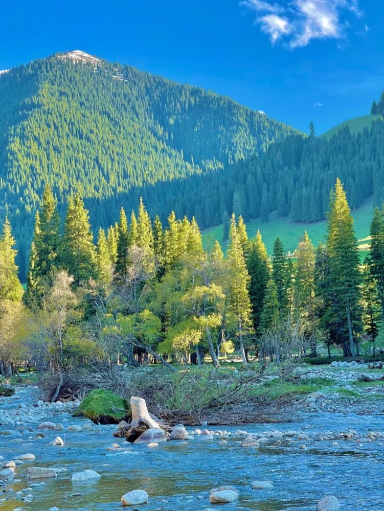 宅在大理旅行篇天空草原