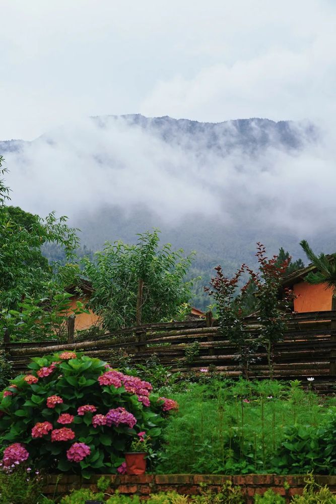 李子柒同款田园生活有多远这里有你想要的答案