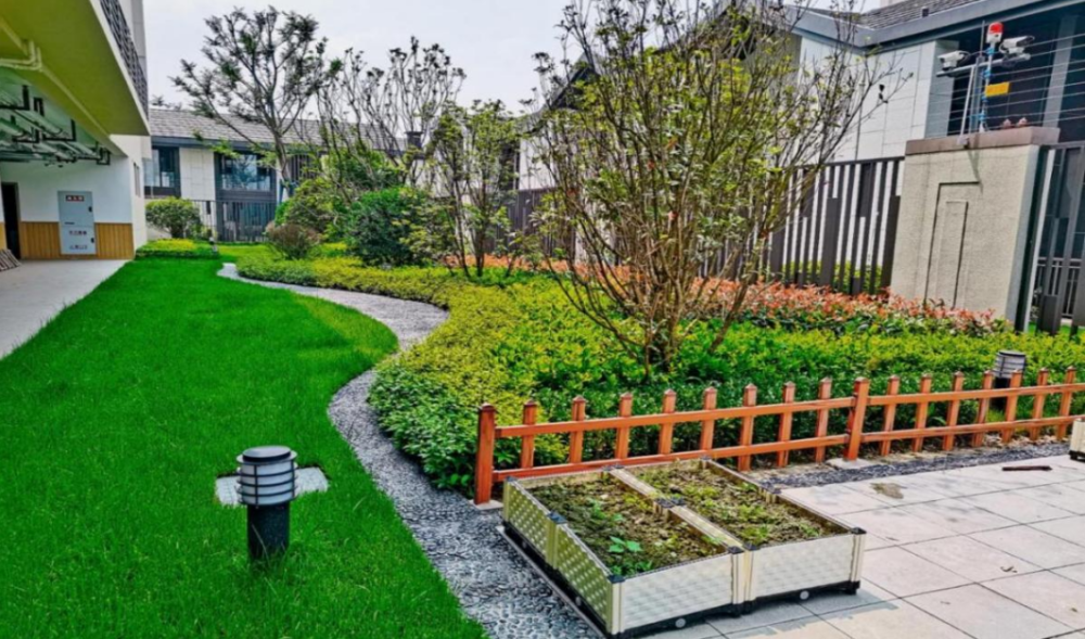 新津区五津幼儿园团结岛分园开园啦