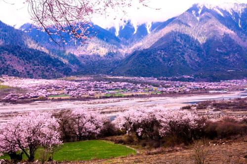 世外桃源波密桃花沟又一人间仙境