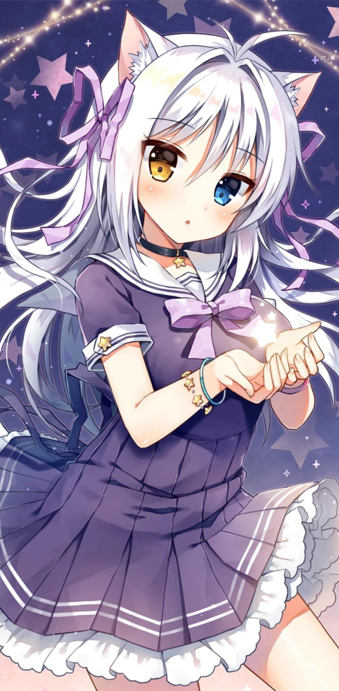 二次元动漫美少女壁纸贰伍陆丨知者不博博者不知