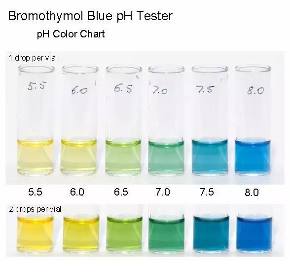 贴心的附上了自己的看法:ph值试剂估计是用的溴百里酚蓝(bromothymol