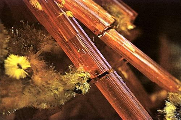 化学元素的奥秘铀