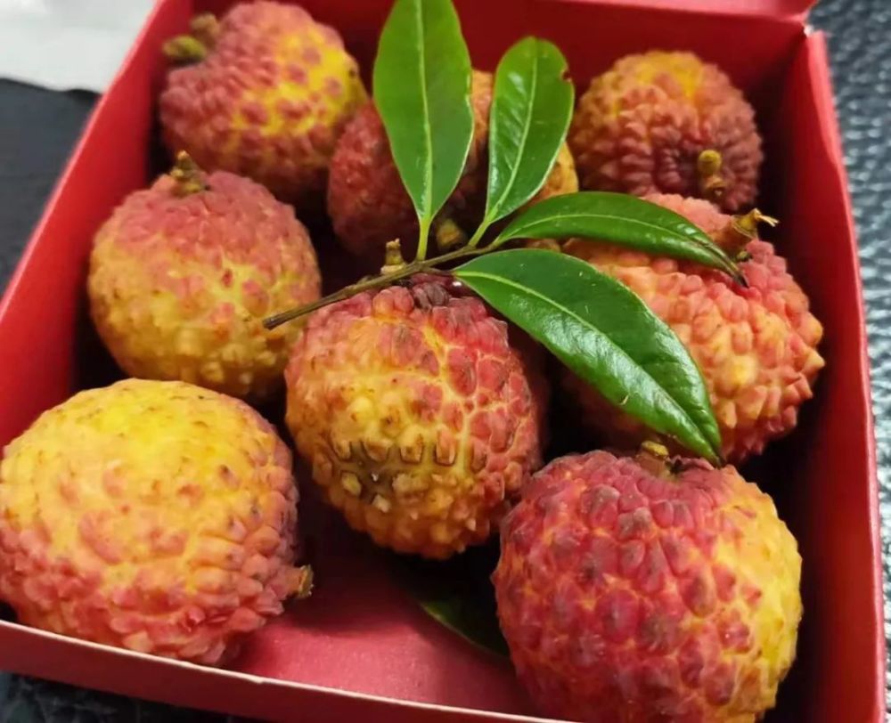 北海这个校园里的荔枝,全校师生免费吃!别人家的学校又开始发荔枝了!