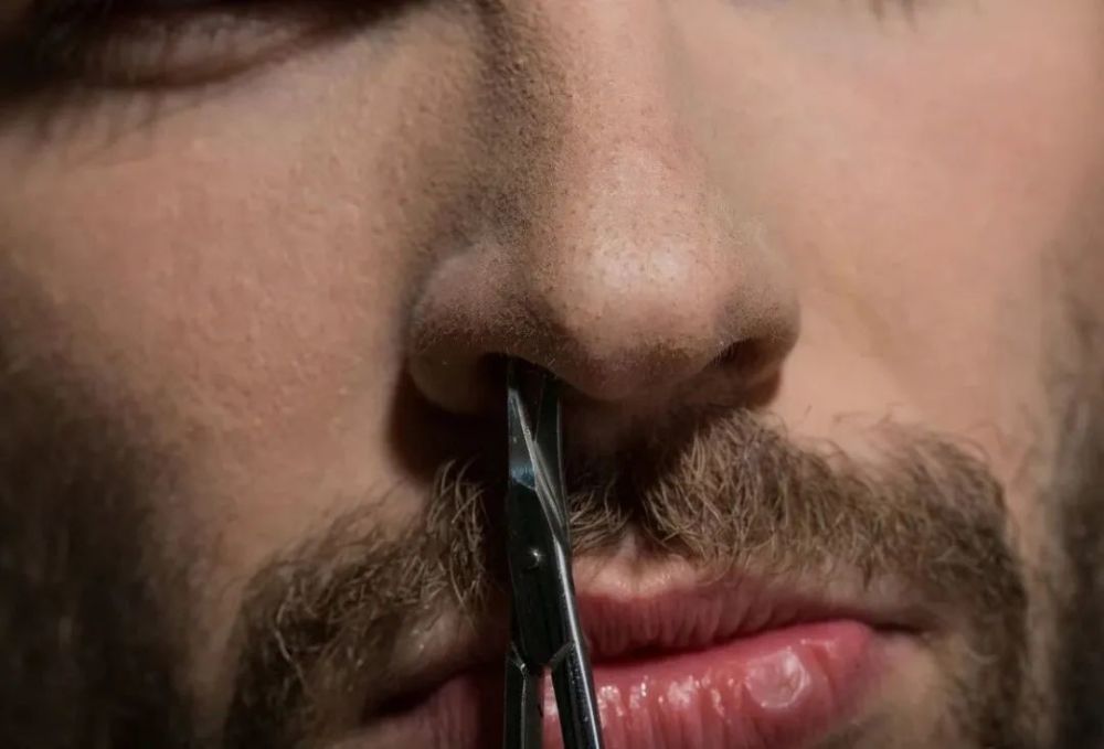 为什么人类会有鼻毛鼻毛浓密意味着什么这4点你要搞明白