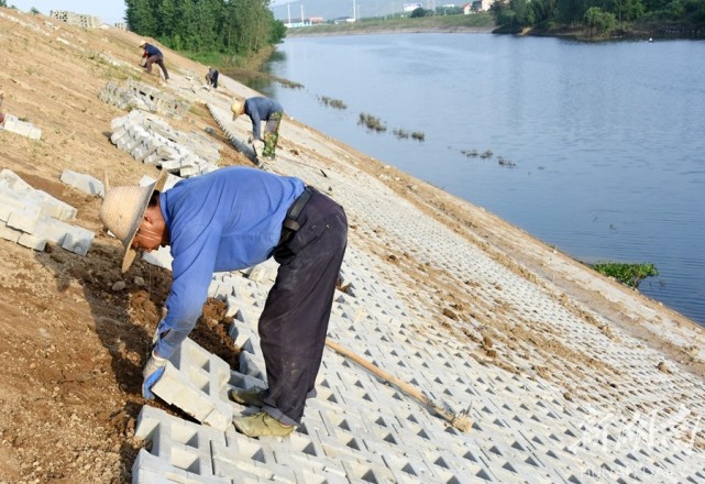 生态堤坡防汛保安